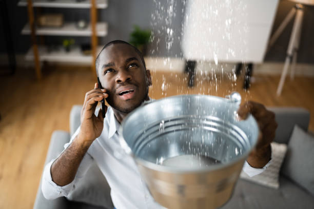 Best Water damage restoration near me  in Caledonia, MS