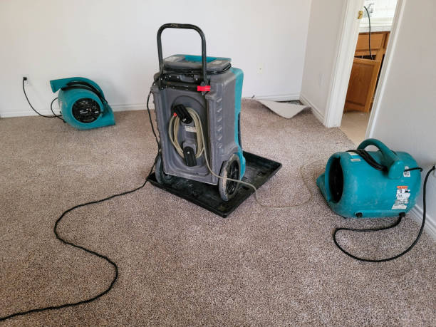 Best Ceiling water damage repair  in Caledonia, MS