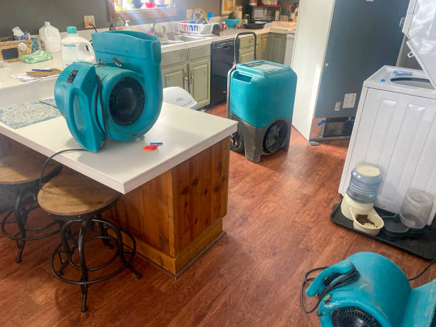 Best Commercial water damage restoration  in Caledonia, MS