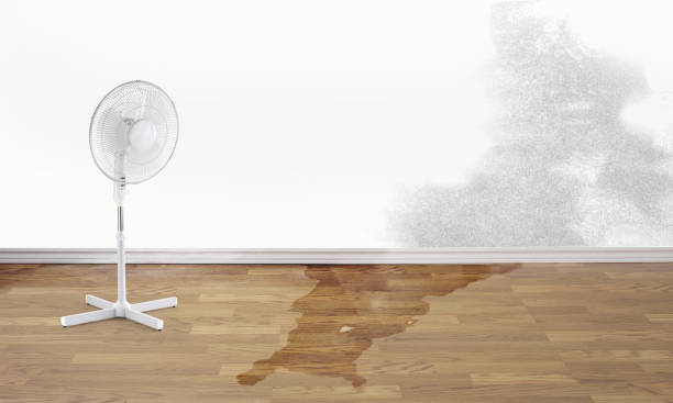 Caledonia, MS Water damage restoration Company