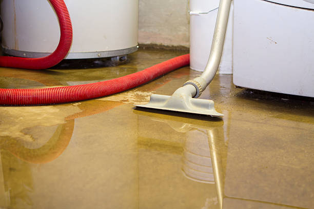 Sewage cleanup and water damage restoration in Caledonia, MS